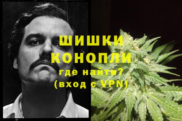 прущие грибы Горнозаводск