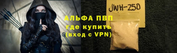 прущие грибы Горнозаводск