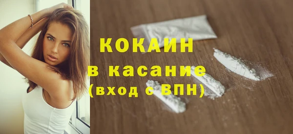 прущие грибы Горнозаводск