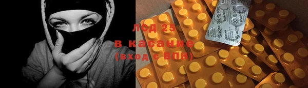 ГАЛЛЮЦИНОГЕННЫЕ ГРИБЫ Горно-Алтайск