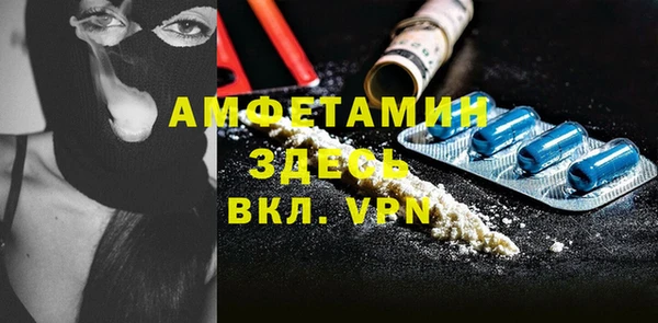 ГАЛЛЮЦИНОГЕННЫЕ ГРИБЫ Горно-Алтайск