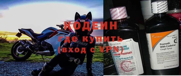 прущие грибы Горнозаводск