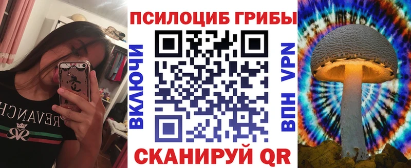 OMG   купить   Изобильный  Галлюциногенные грибы мицелий 