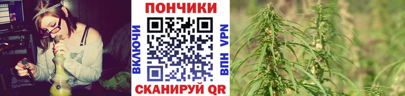 где можно купить Изобильный Бошки Шишки план